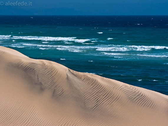 Tierra Dorada: Selvaggia Fuerteventura