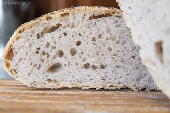 Il pane più buono è anche il più semplice: no-knead!