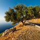 Isola di Cefalonia: la parte settentrionale e Myrtos